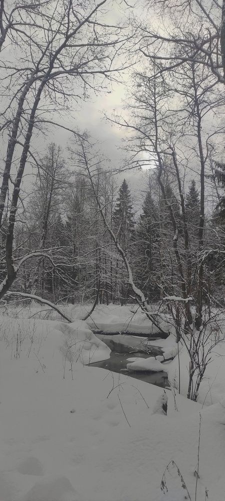 Photograph by vladimir