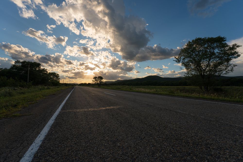 Photograph by IZitsART