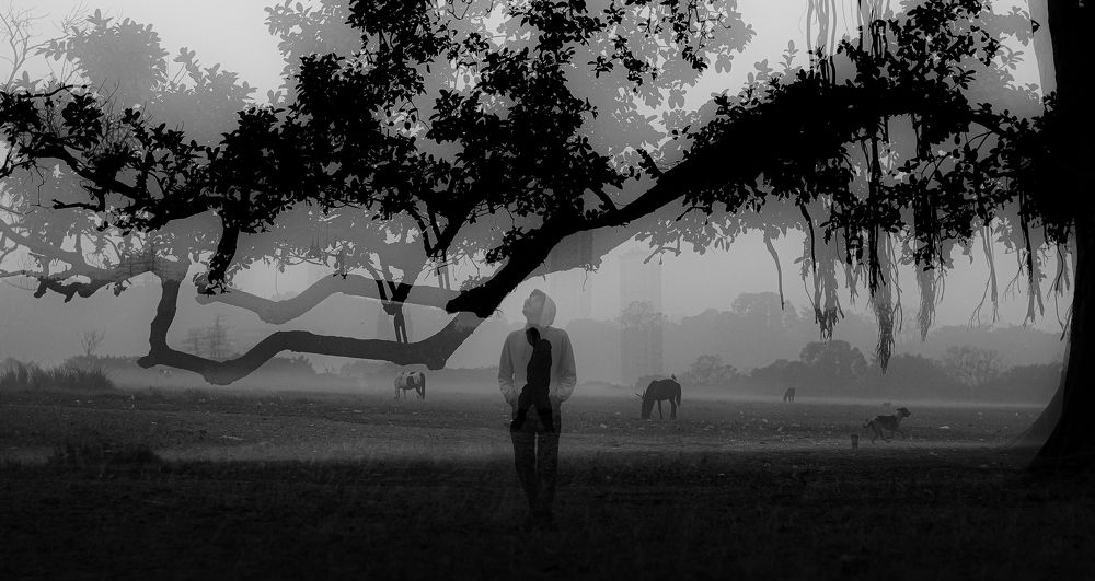 Winter in City of Joy ♥️♥️?