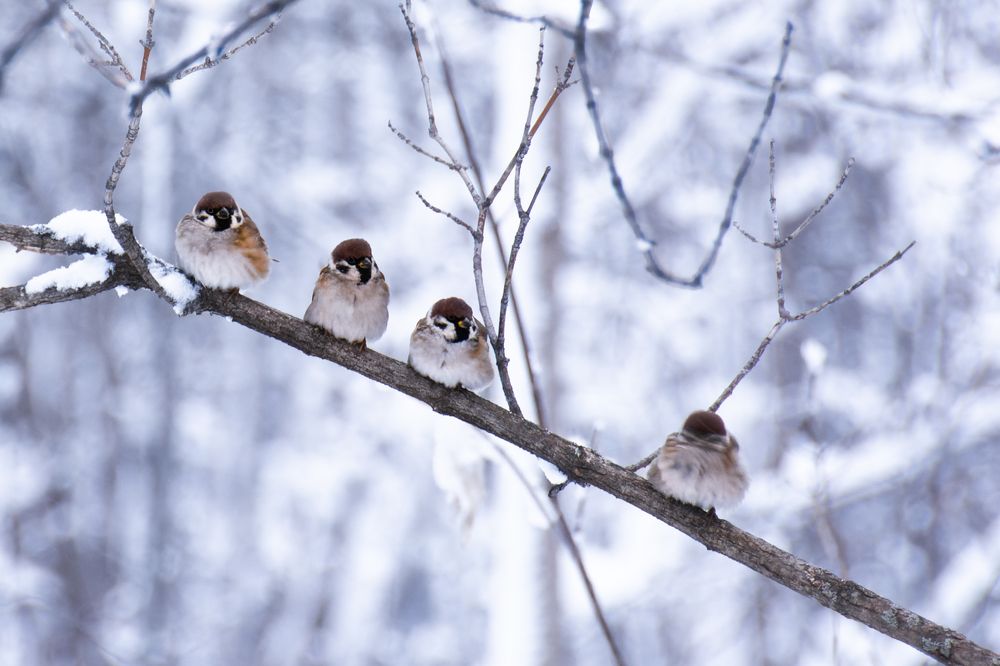 Photograph by Савенко Кирилл