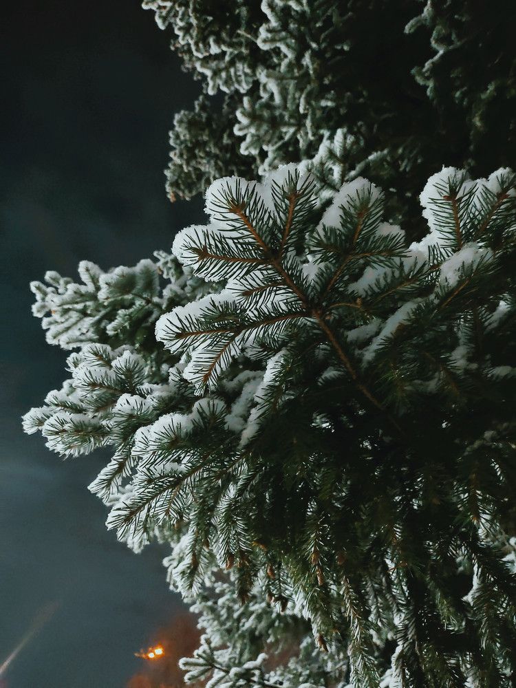 Photograph by Людмила Алешкова