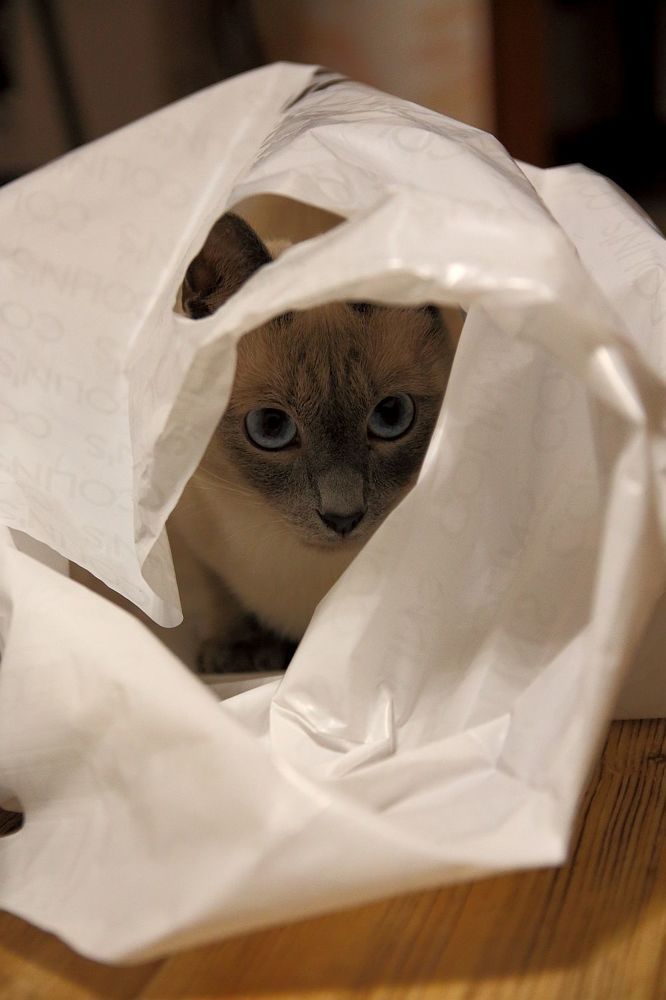 Photograph by Юрий Варюхин