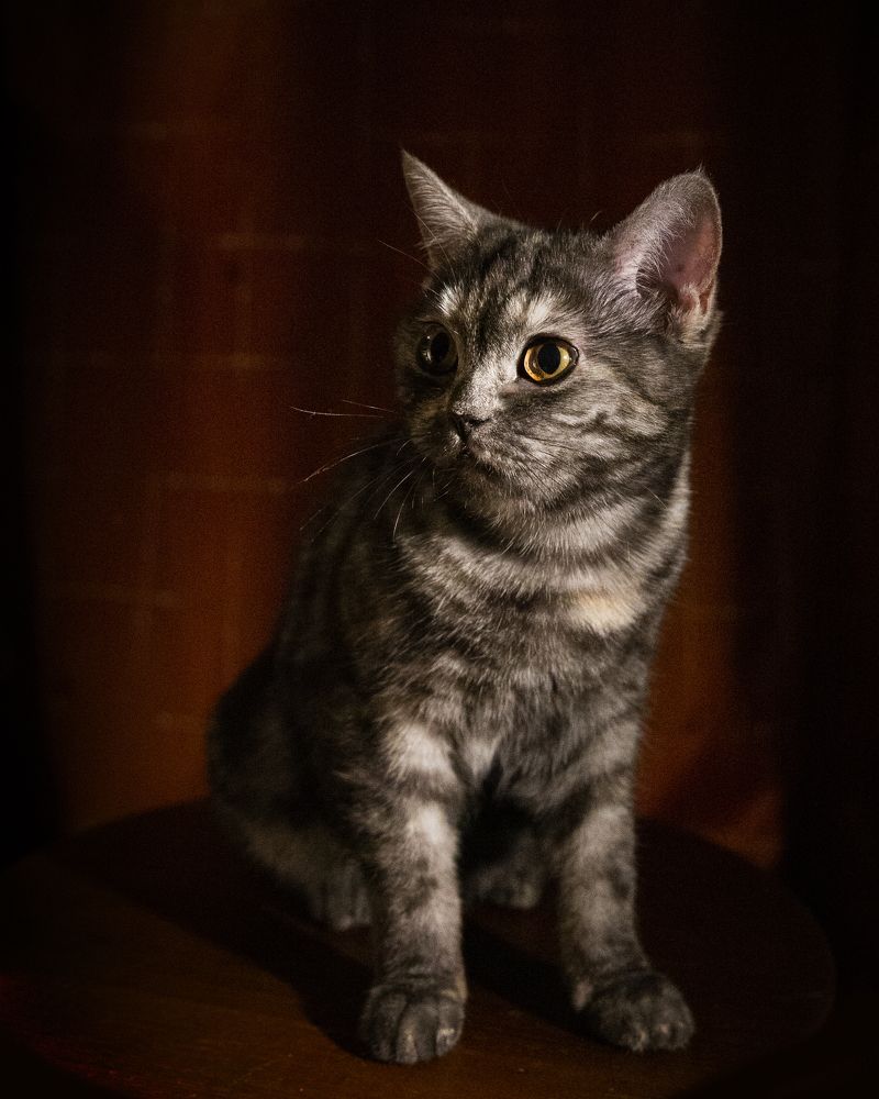 Photograph by Юрий Кущий