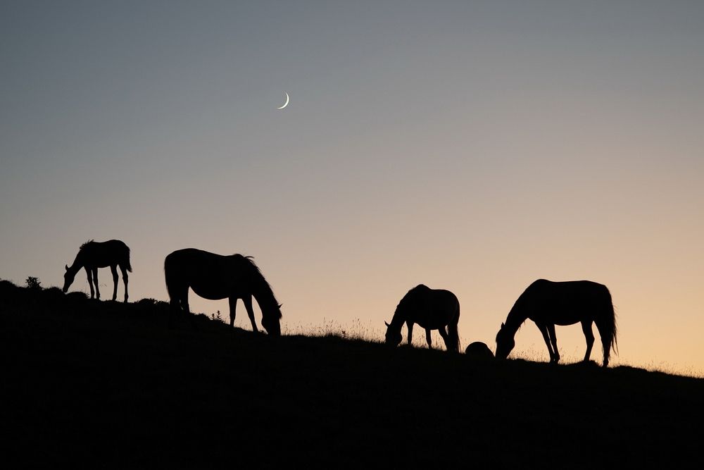 Photograph by Арсен Алабердов