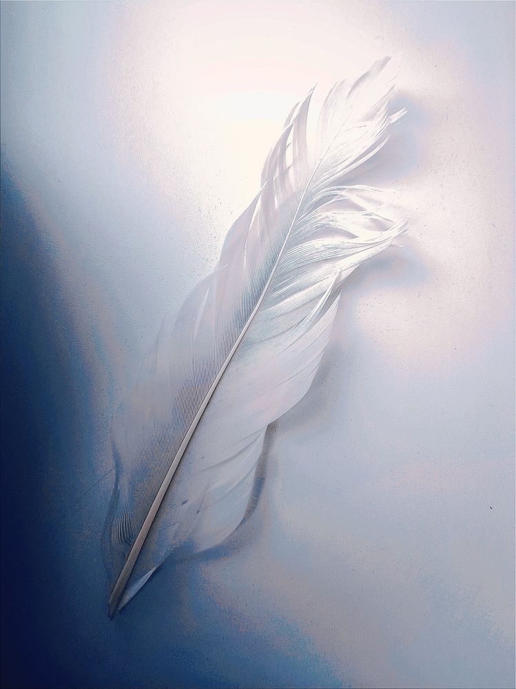 Photograph by Марина Хохрякова