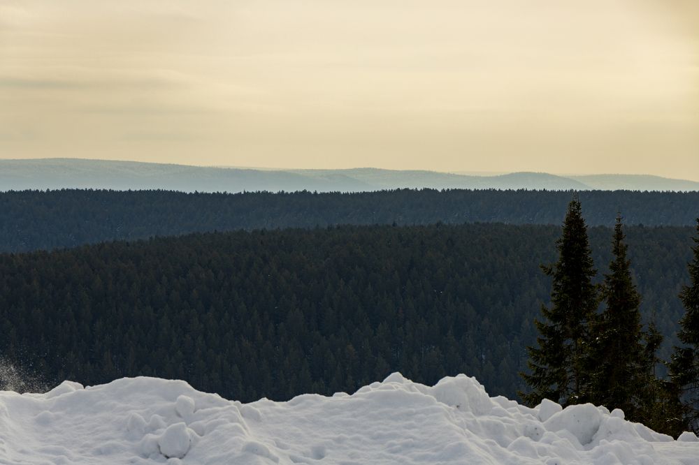 Photograph by Константин Чижов