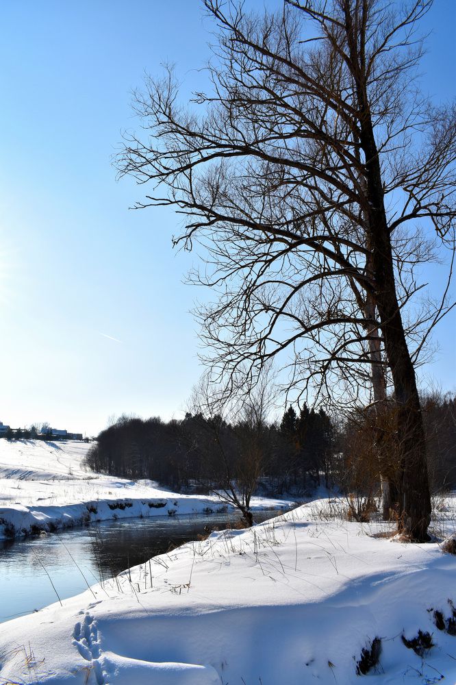 Фотография автора Tkachev Aleksey