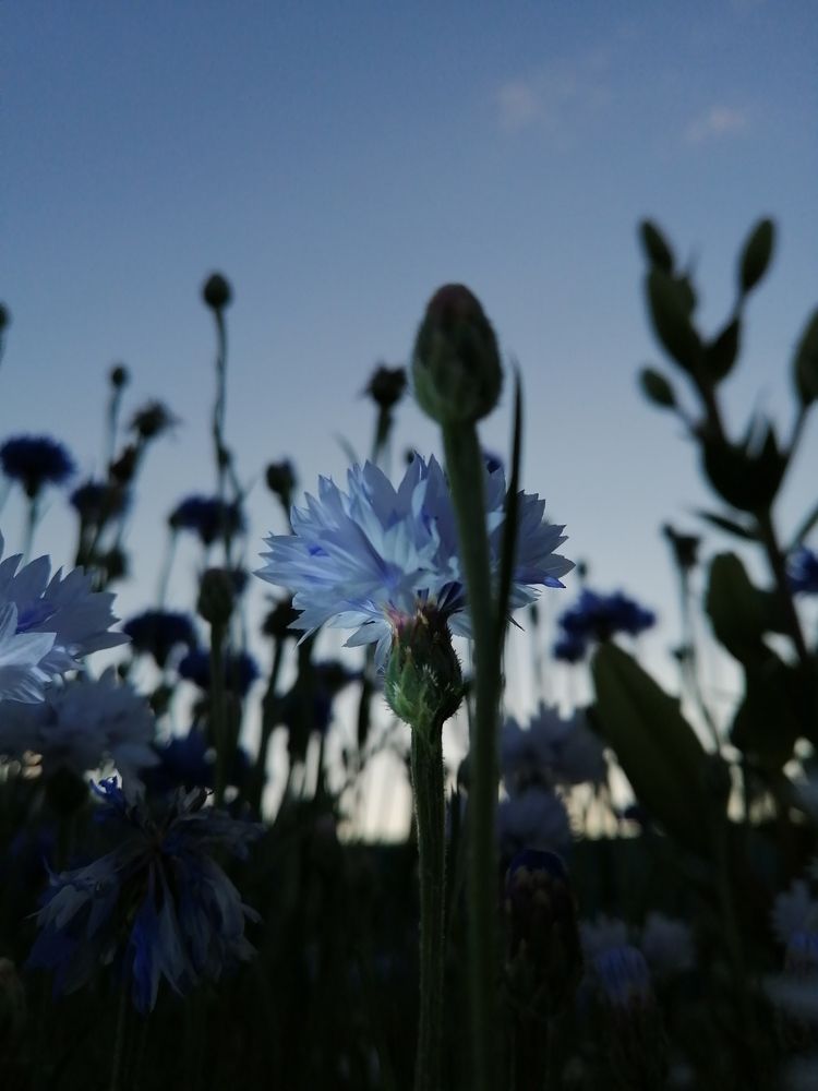 Photograph by Вета Юн