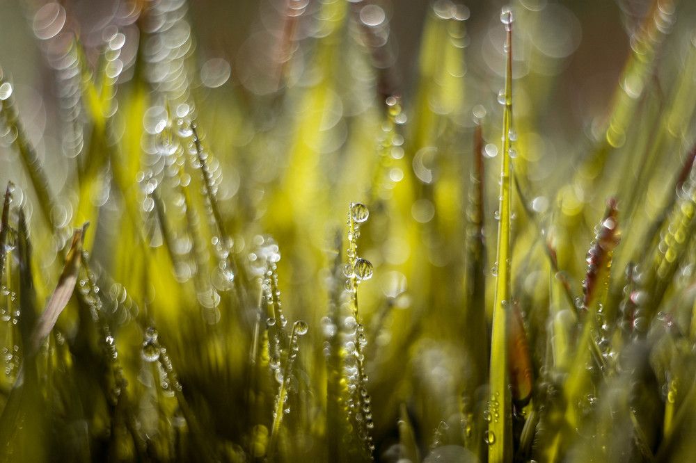 Photograph by Consuelo Sand