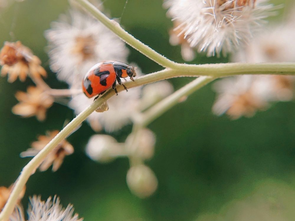 Photograph by Kasun Wickramasinghe