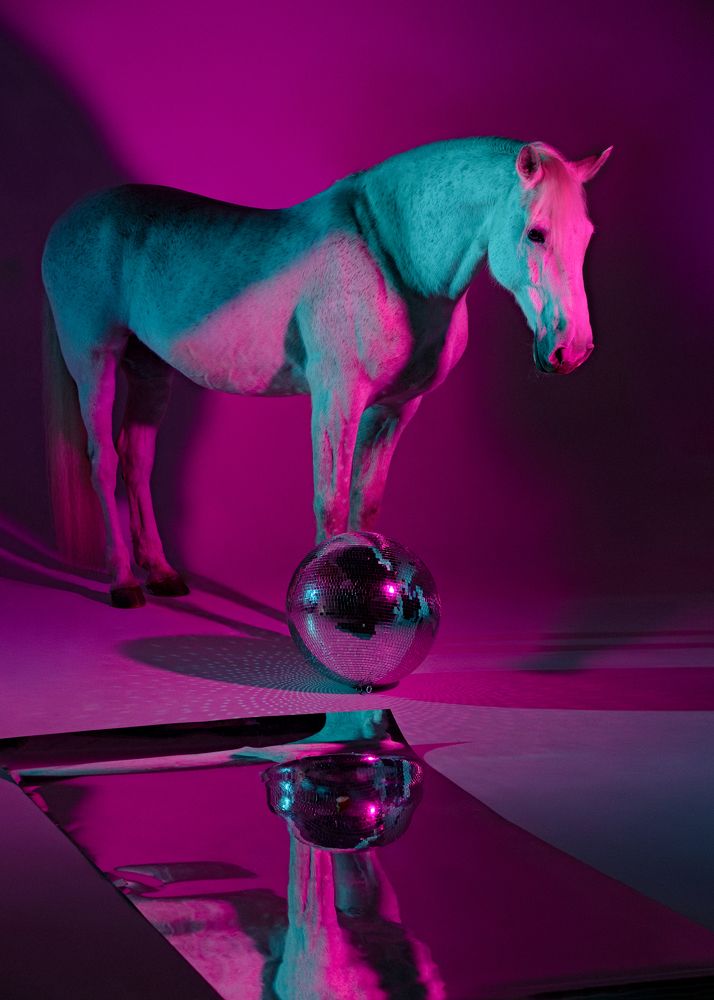 Photograph by Яна Орлова