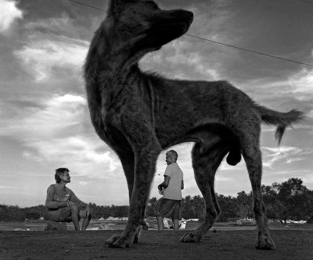 Photograph by Benjamine Dharashan