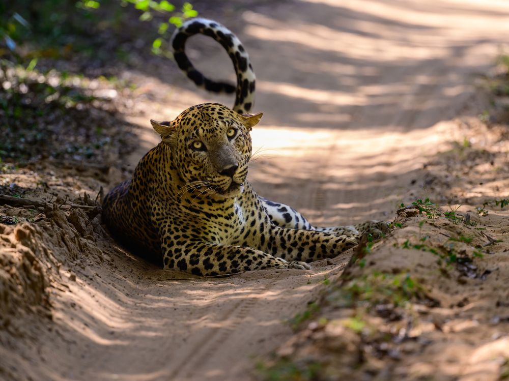 Photograph by Sergey Puponin