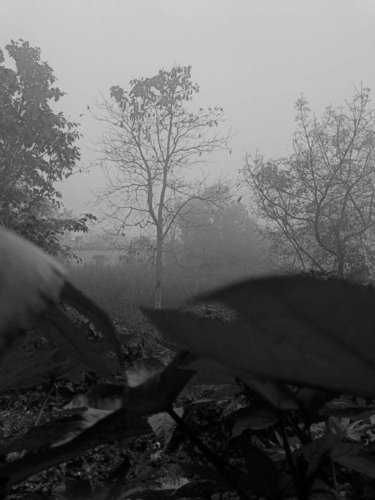 Photo #8932801