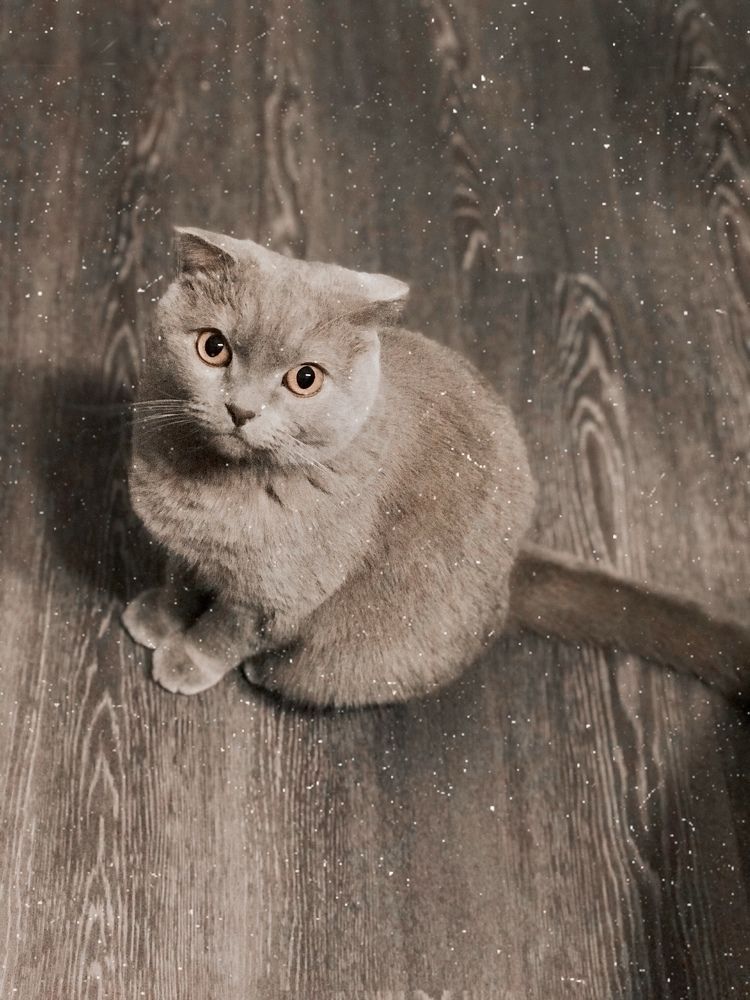 Photograph by Наталья Перерва