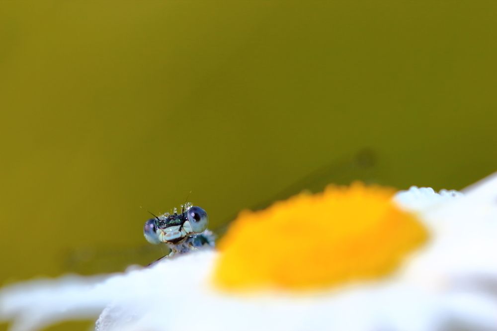 Photograph by Олег Резенов