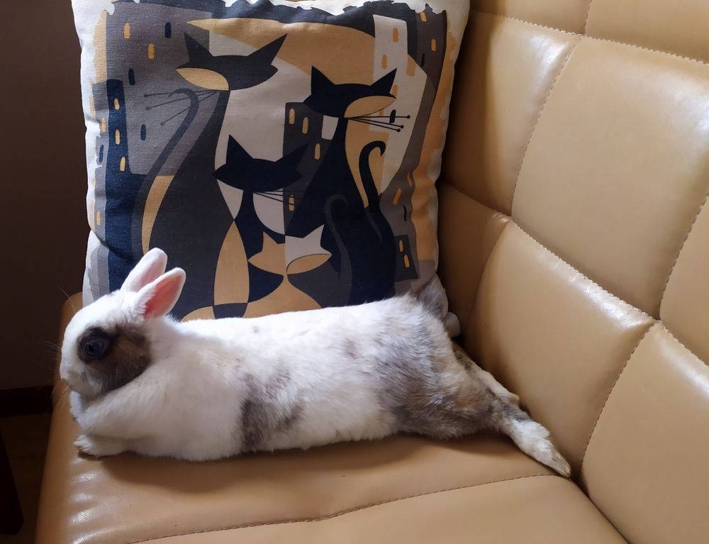 Photograph by Татьяна Смирнова