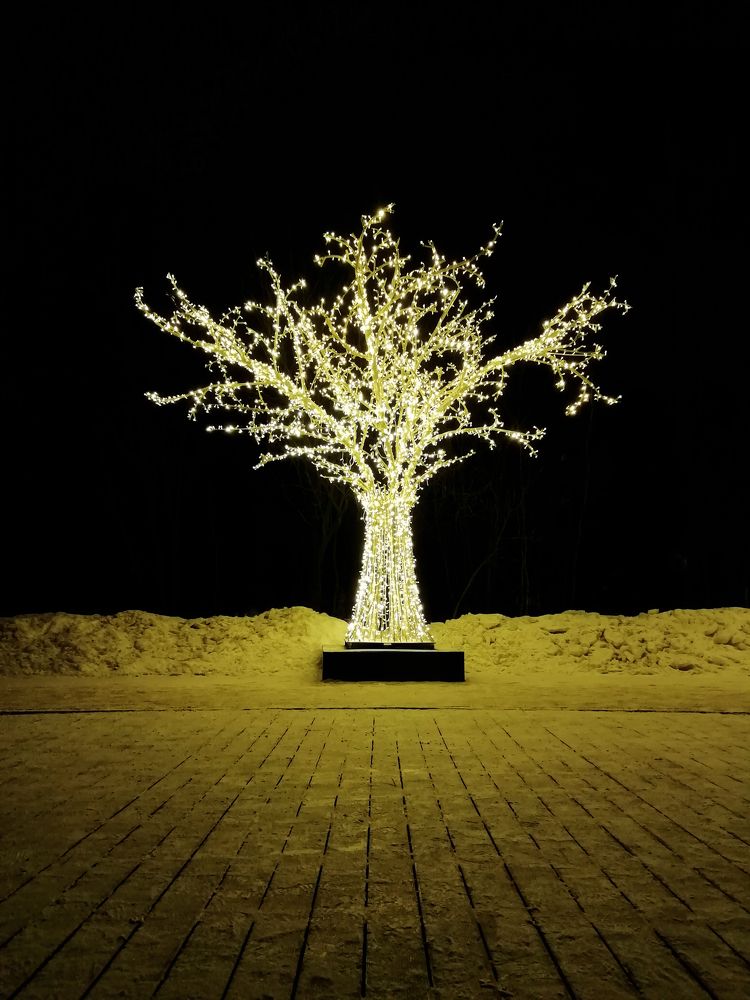 Photograph by Александр Фокин