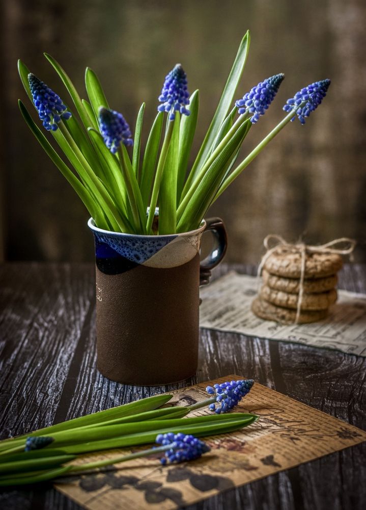 Photograph by Ольга Семина