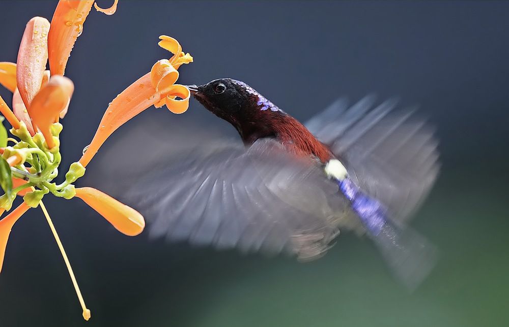 Photograph by Kan Chung Wong