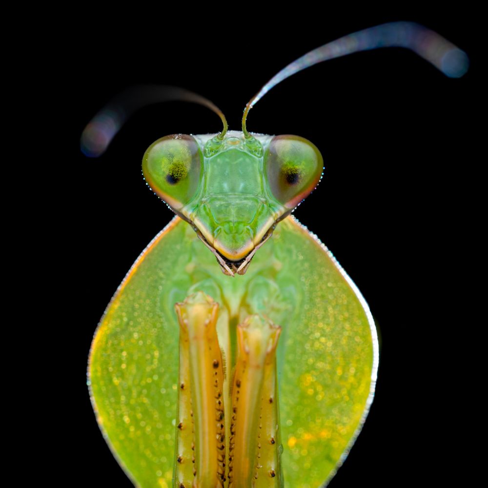 Photograph by Alstein Lai