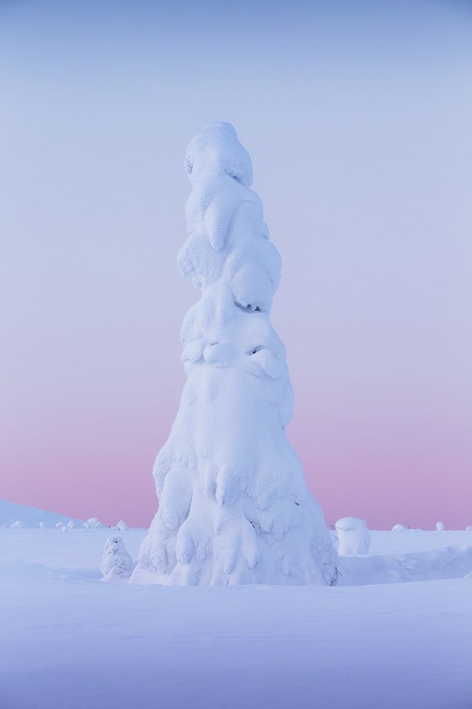 Photograph by Сергей Гарифуллин