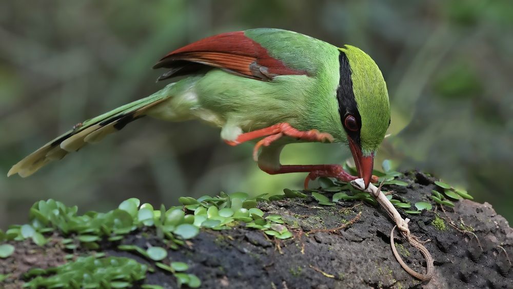 Photograph by Kan Chung Wong