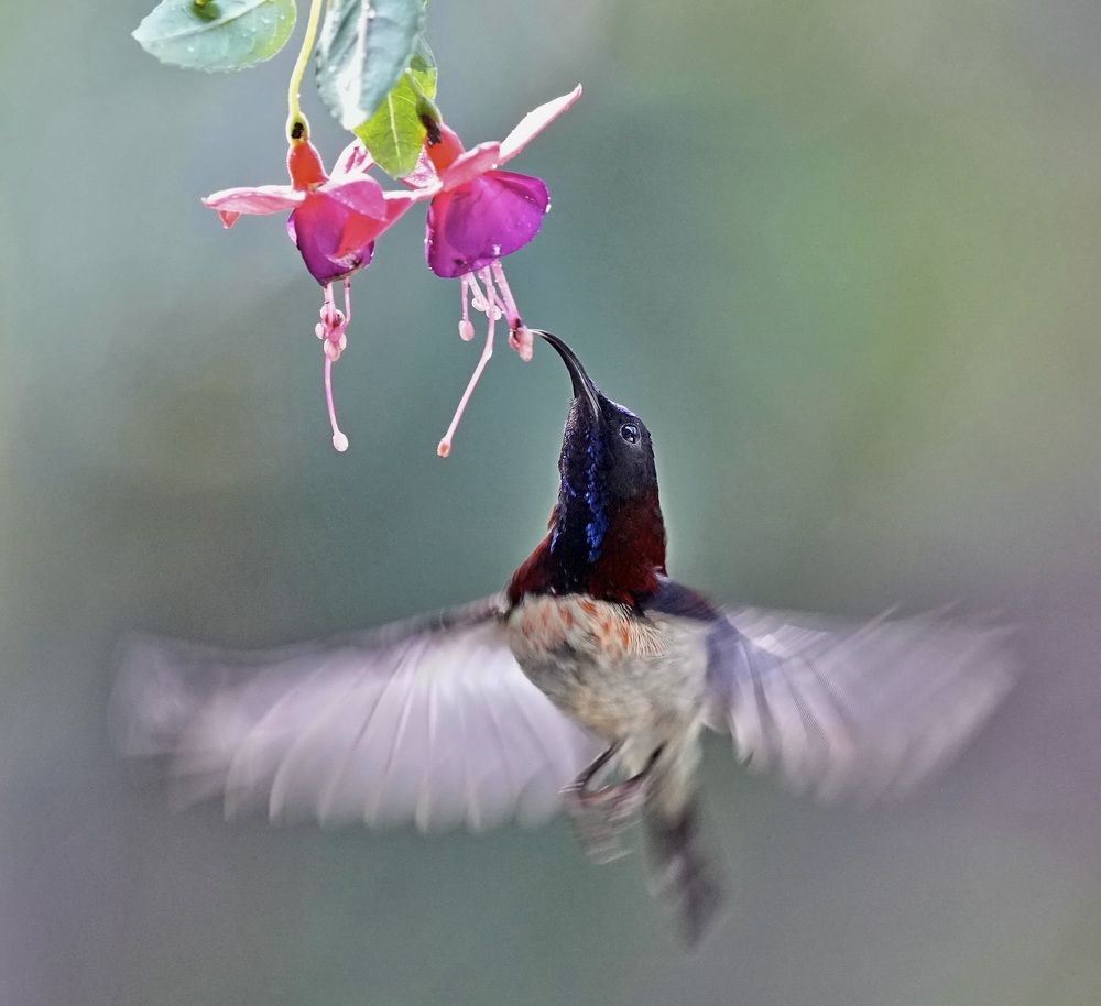 Photograph by Kan Chung Wong