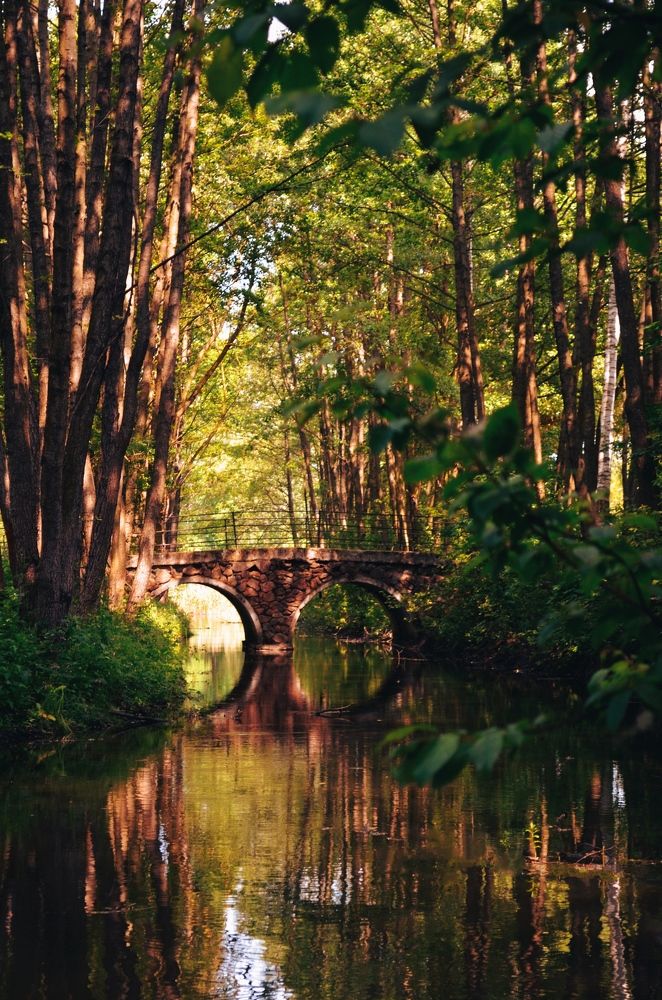 Photograph by Ирина Сыровежкина