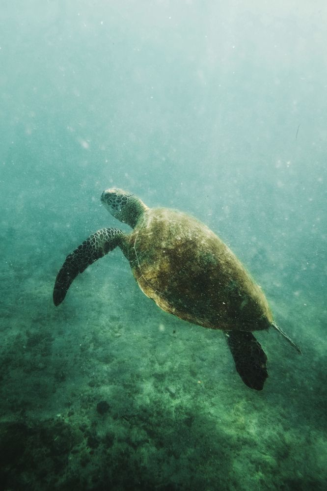 Photograph by Сергей Гарифуллин