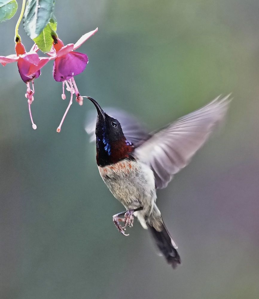 Photograph by Kan Chung Wong