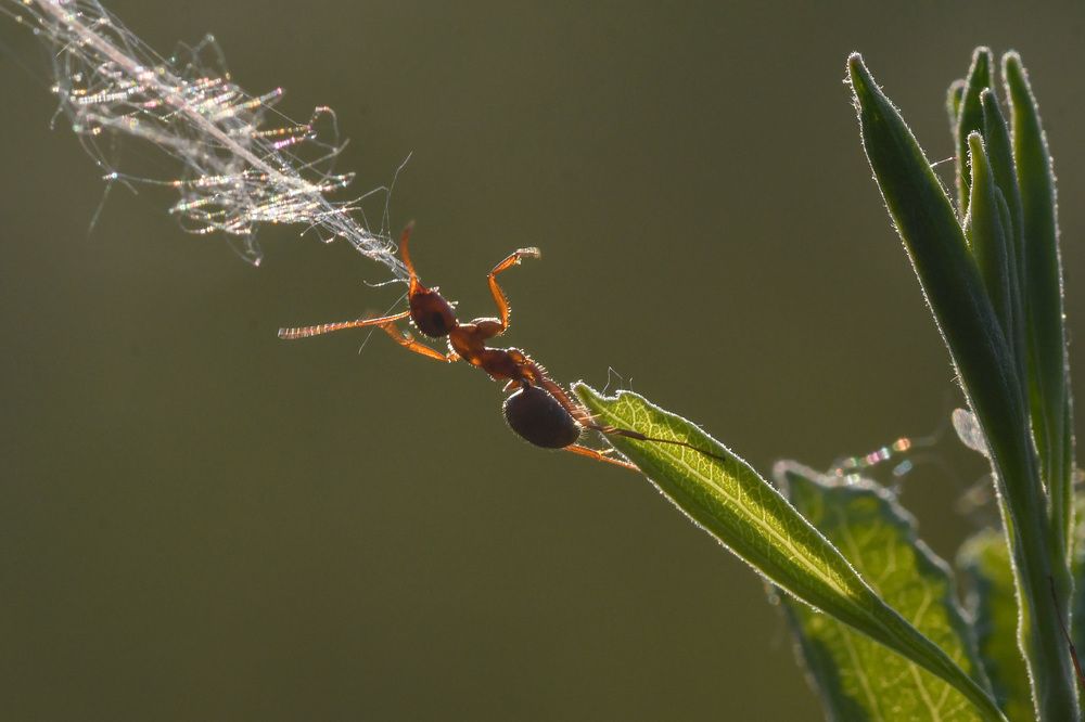Photograph by Наталия Шинкевич