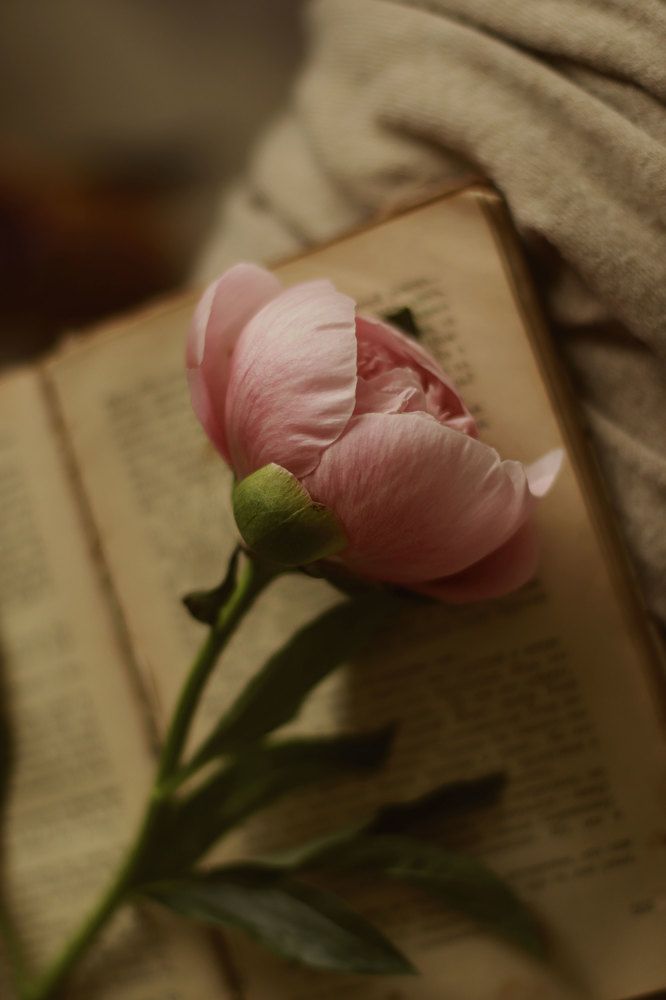 Photograph by Ирина Столбовая