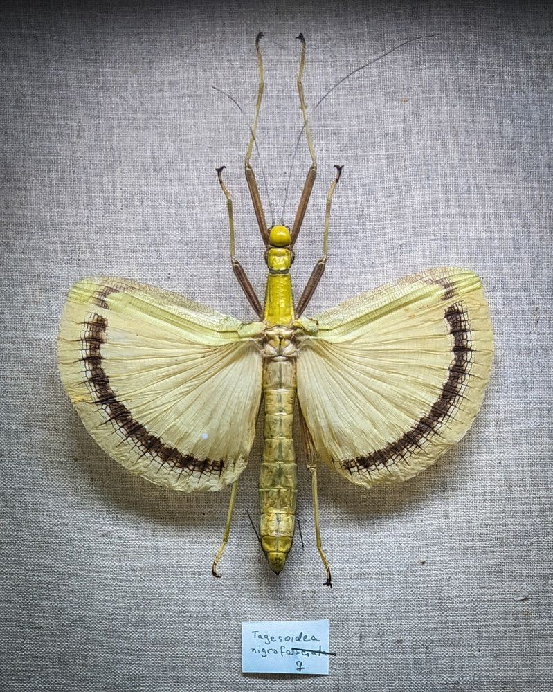 Photograph by Дарья Макаревич