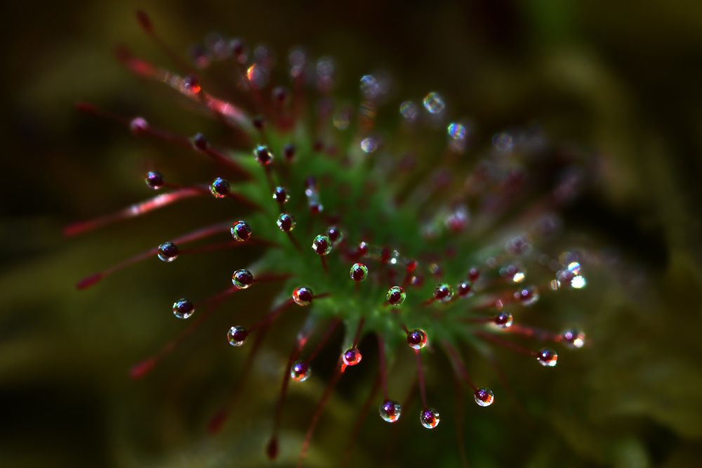 Photograph by Наталия Шинкевич