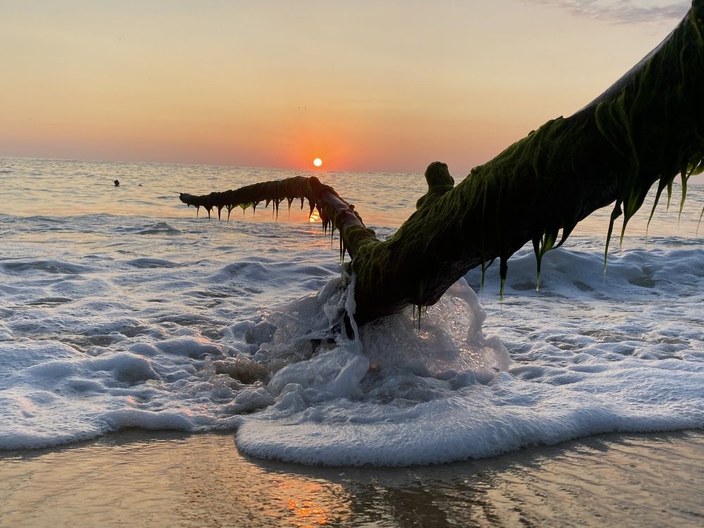 Photograph by Janine Rodríguez