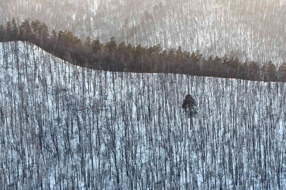 Photograph by Наталия Шинкевич