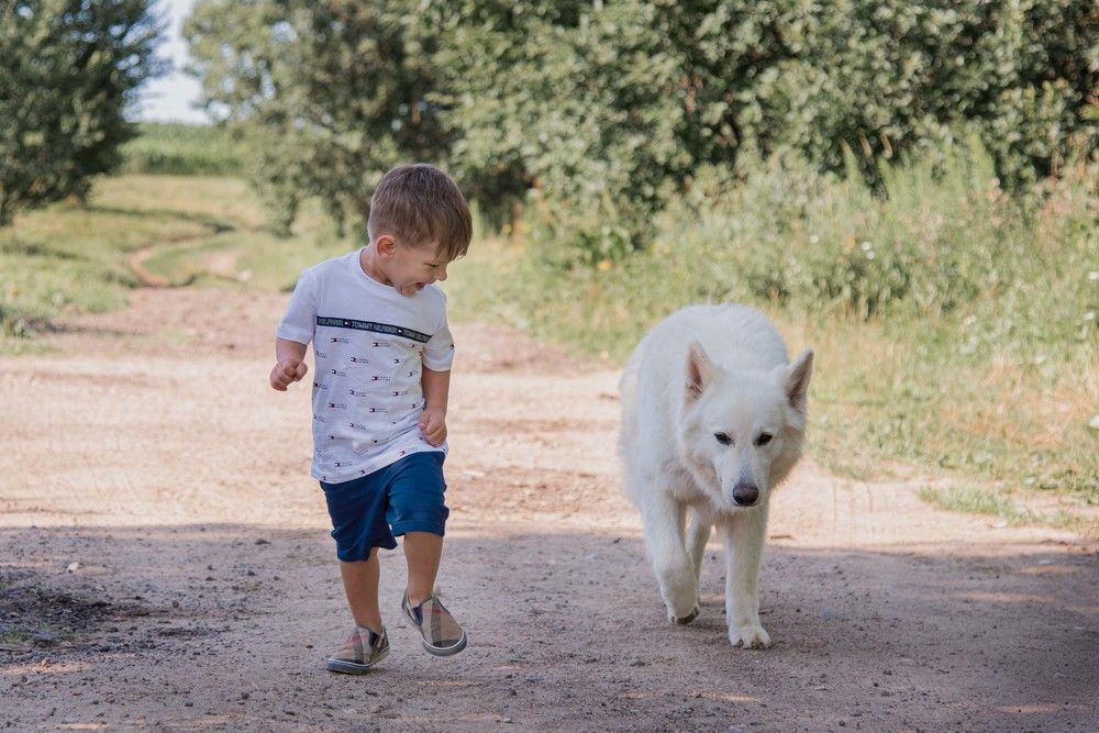 Photograph by Елена Мороз