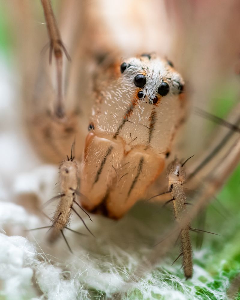 Photograph by Tanmoy Das