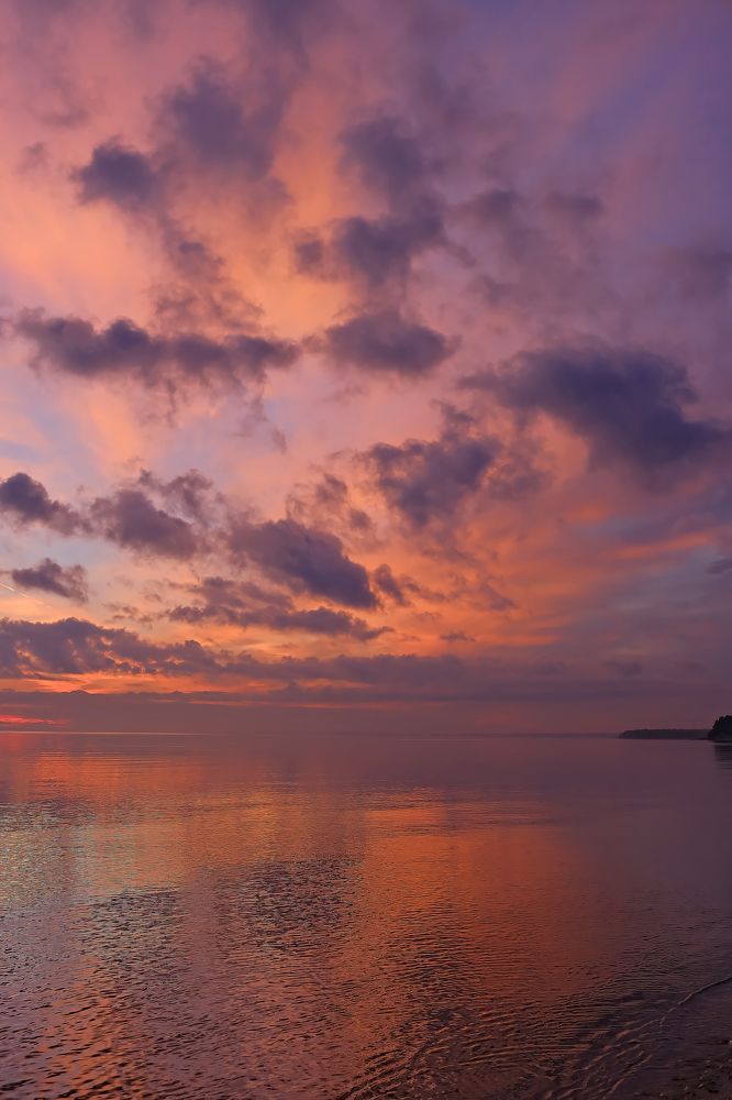 Photograph by Margarita