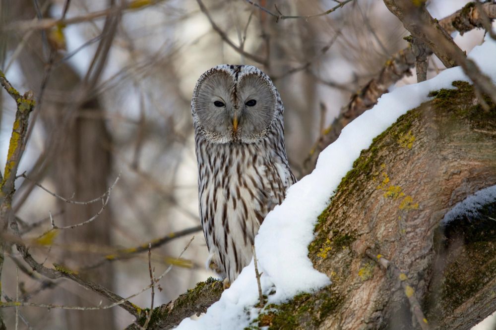 Photograph by Андрей Смирнов