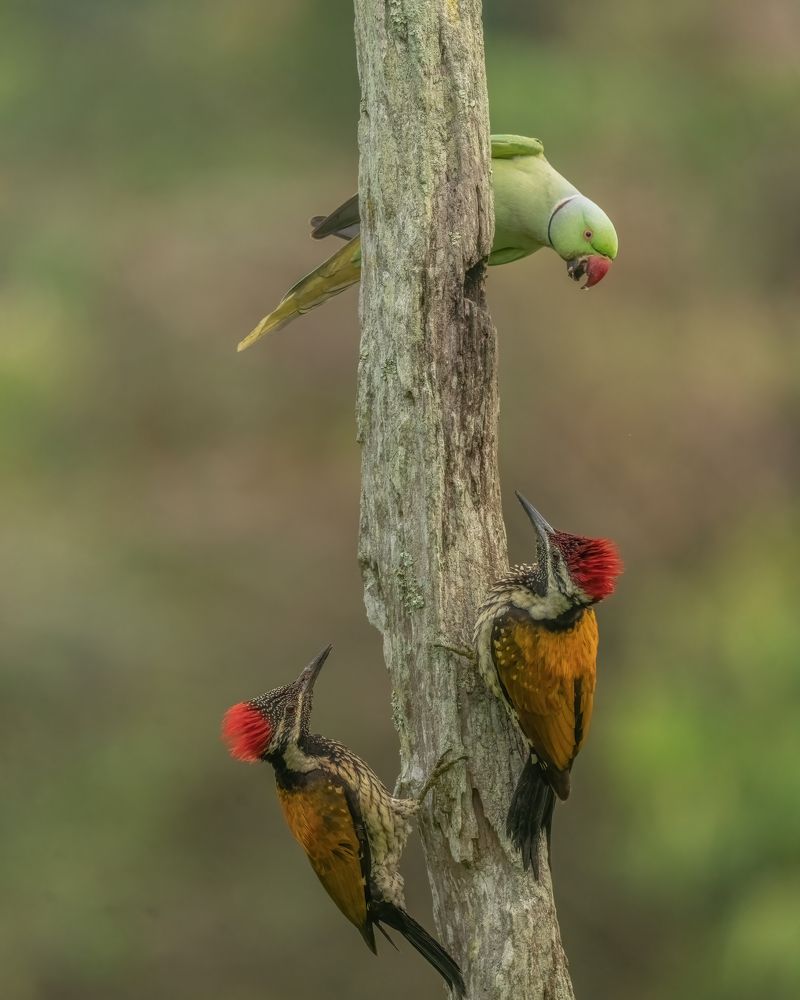 Photograph by Sushmeet Kathuria