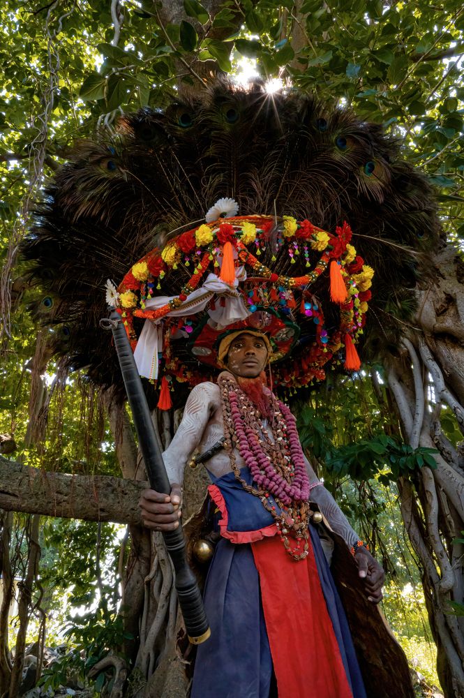 Photograph by Akhil Jella