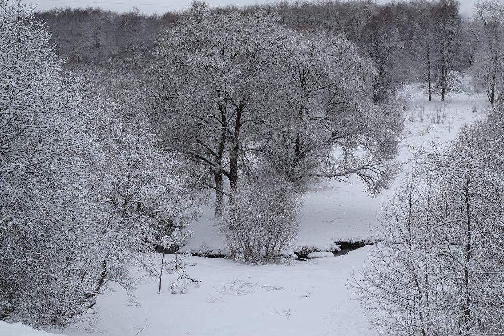 Photograph by Баринов Борис