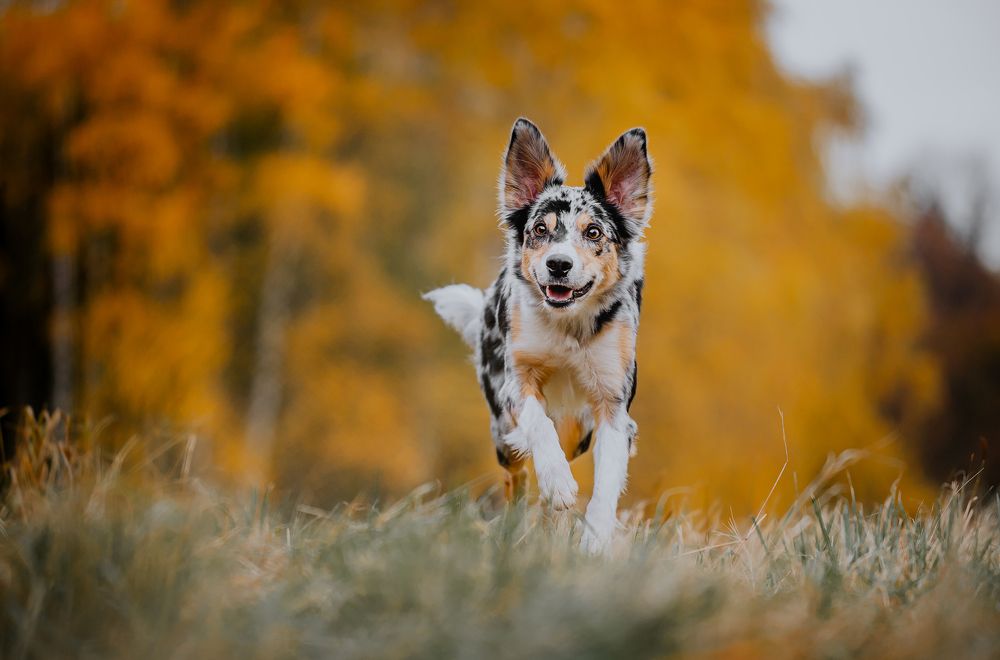 Photograph by Kate Entsi