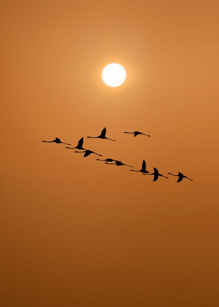 Photograph by Jessica Rojas