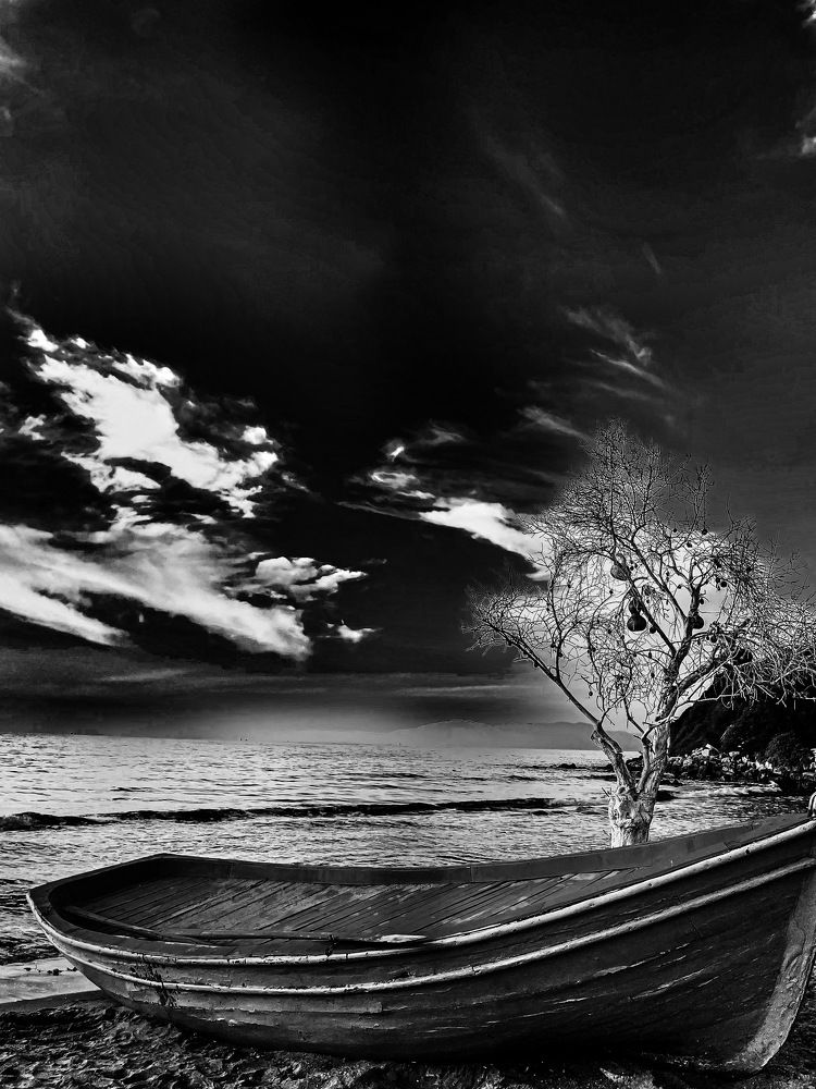 Photograph by Vera Notovich