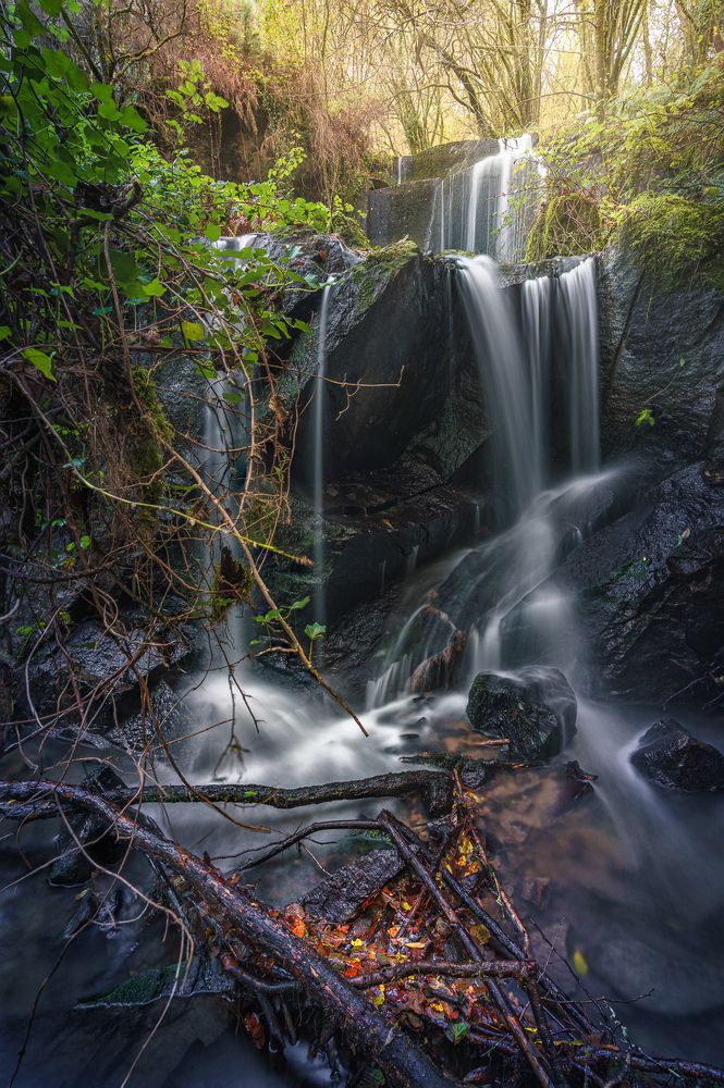 Photograph by Francisco Crusat