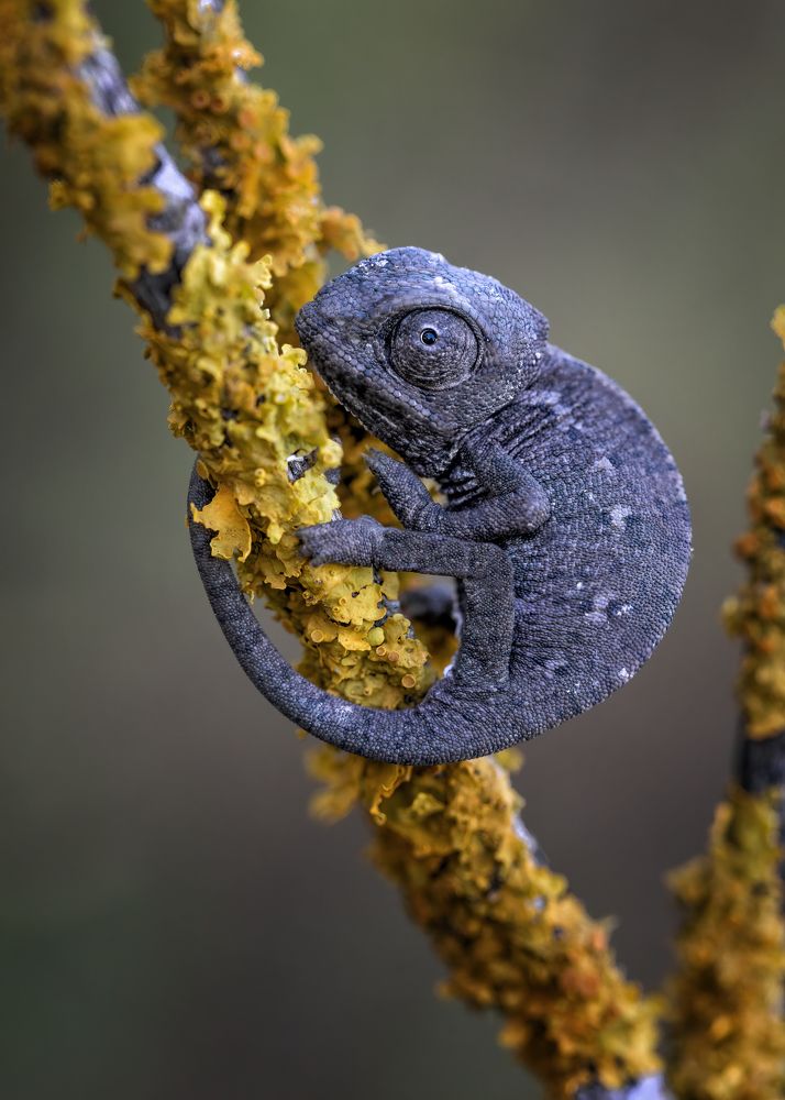 Photograph by Andrey Ostapenko