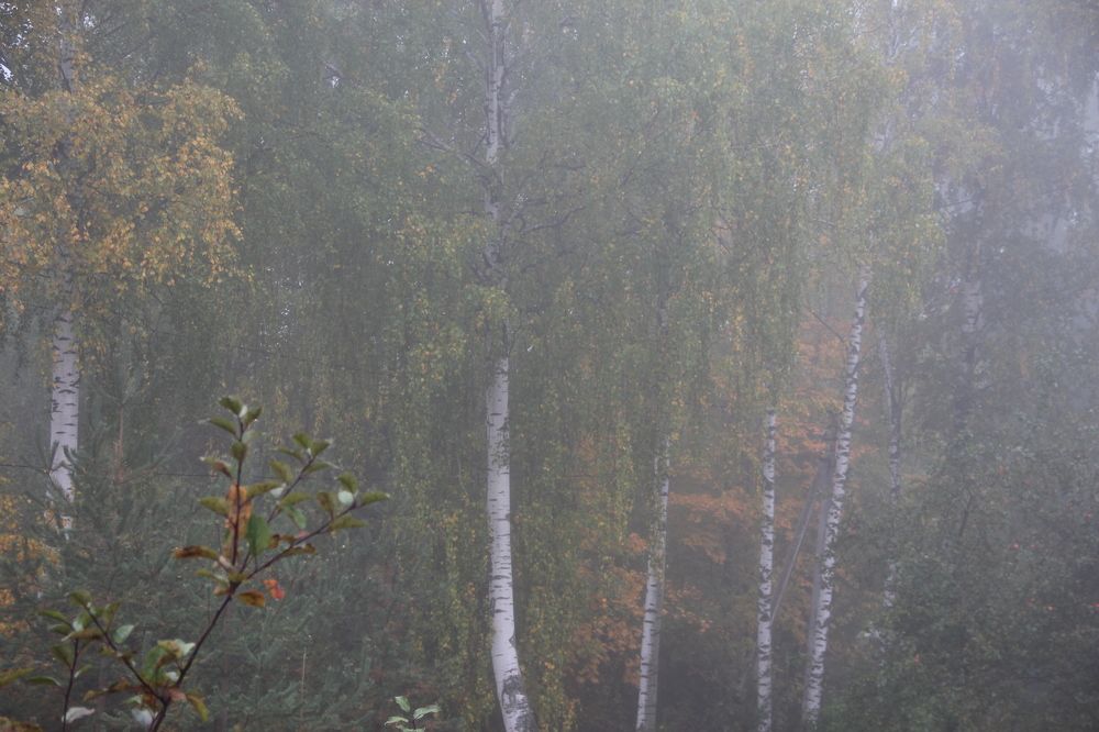 Photograph by Валентина